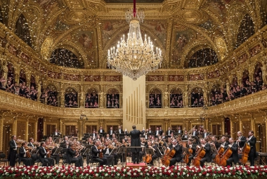 Orchestra performing in a grand concert hall